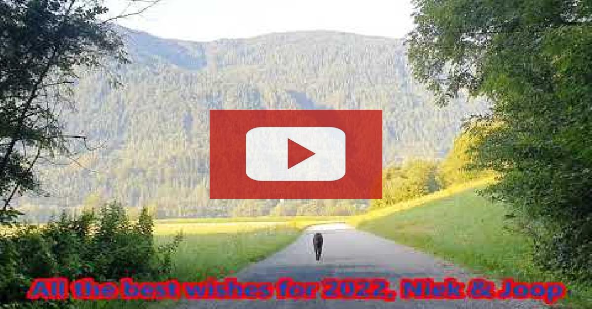 next random video