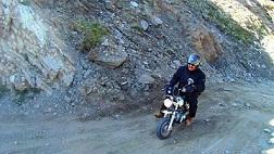 Monkey 125cc minibike